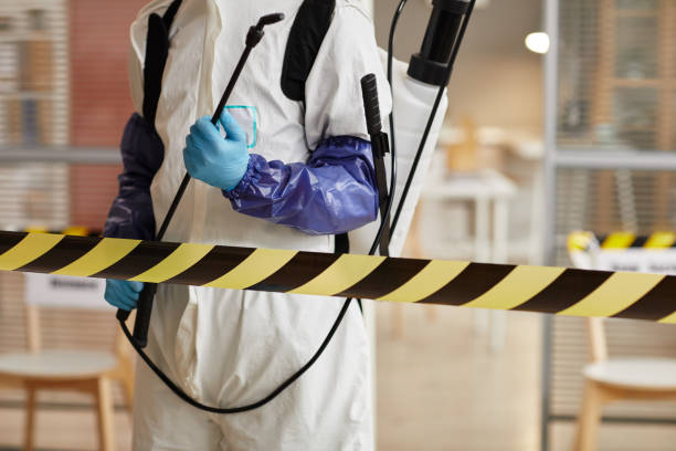 Professional Biohazard technician working in Edgewood, WA